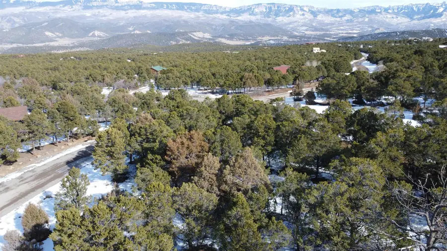 30 Pinon Road West, Ridgway, CO 81432 - #2
