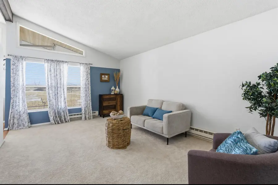 10712 Mesa View Drive, Austin, CO 81410 - #2