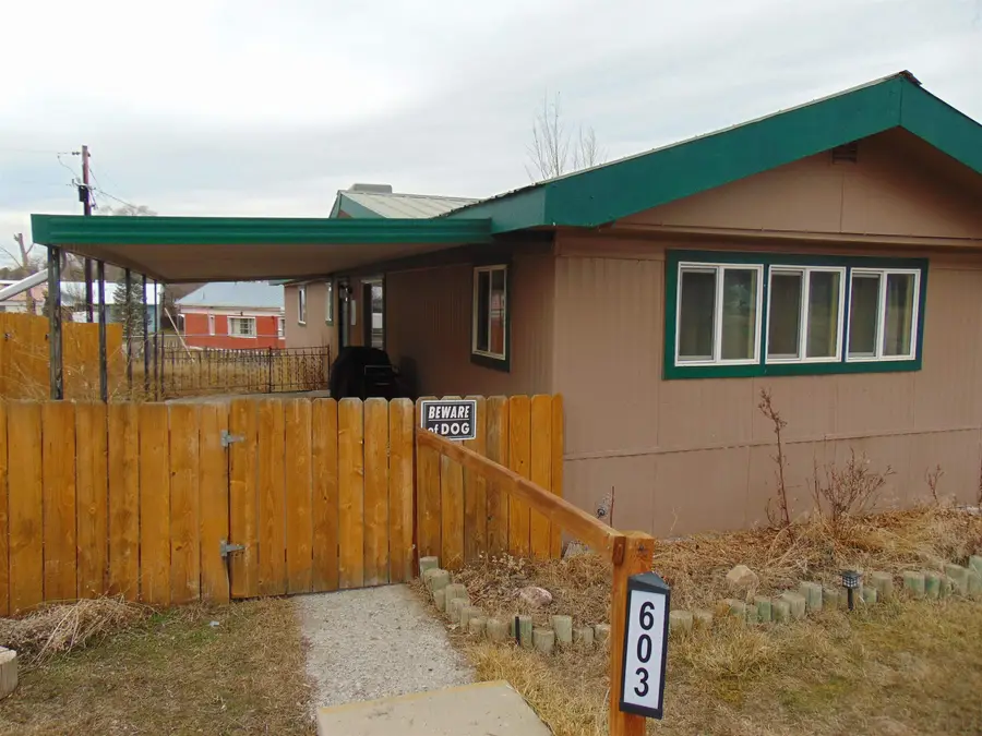 603 Clancy Avenue, Collbran, CO 81624 - #2