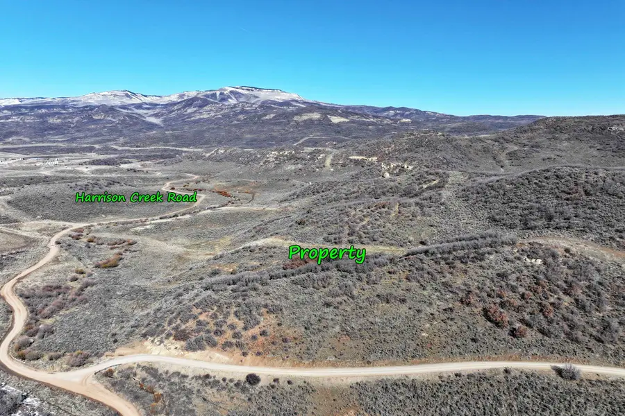 TBD Harrison Creek Gulch Road, Collbran, CO 81624 - #3