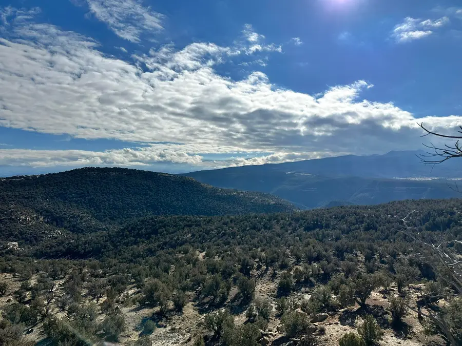 4521 Horse Canyon Road, De Beque, CO 81630 - #2