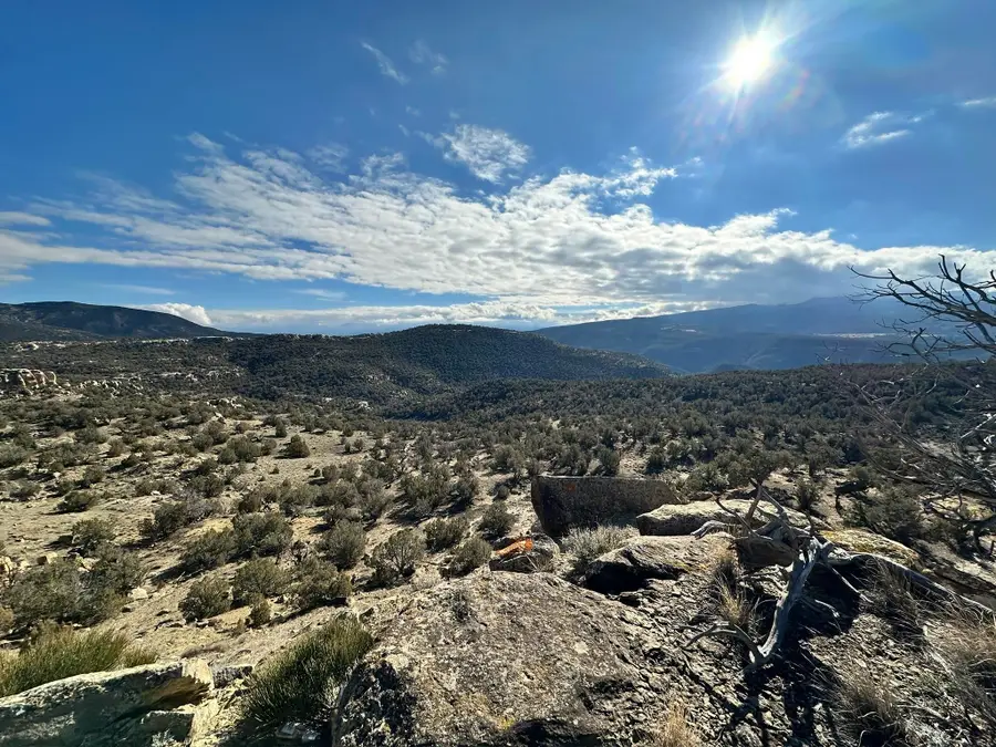 4521 Horse Canyon Road, De Beque, CO 81630 - #3