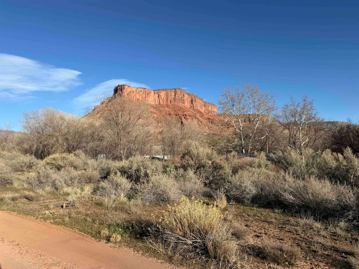 2395 Highway 141, Gateway, CO 81522 - #1