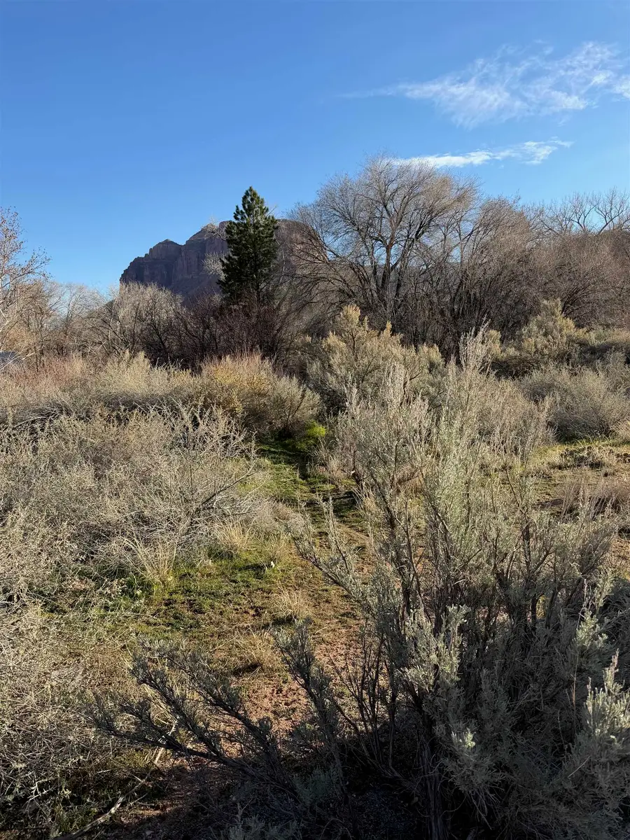 2395 Highway 141, Gateway, CO 81522 - #3