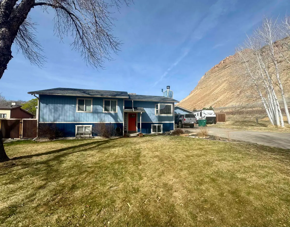 102 Davis Circle, Palisade, CO 81526 - #1