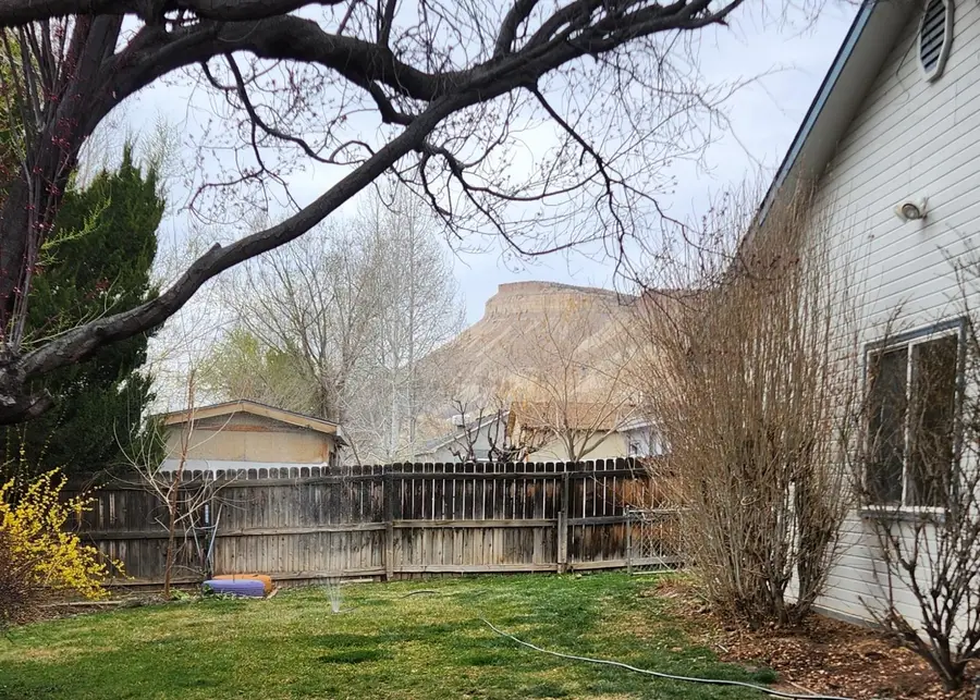 567 Milleman Street, Palisade, CO 81526 - #3