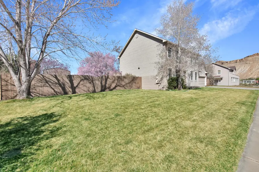 810 Elberta Avenue, Palisade, CO 81526 - #3