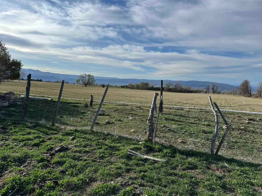 TBD 2900 Road, Hotchkiss, CO 81419 - #2
