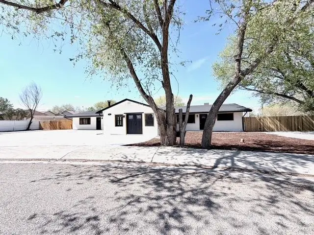 239 Nancy Street, Grand Junction, CO 81503 - #1