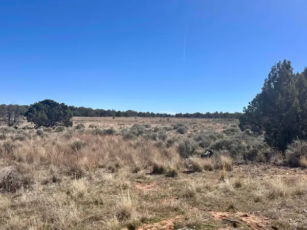 TBD Canyon Ridge Drive, Glade Park, CO 81523