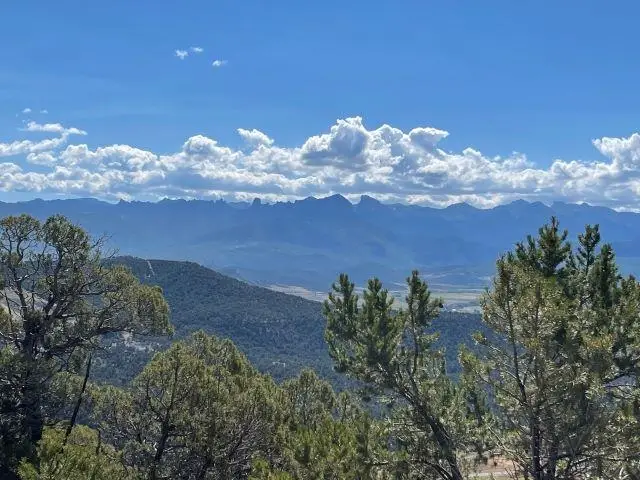 TBD Pine Drive, Ridgway, CO 81432 - #2