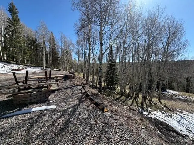 1255 Spruce Road, Cimarron, CO 81220 - #3