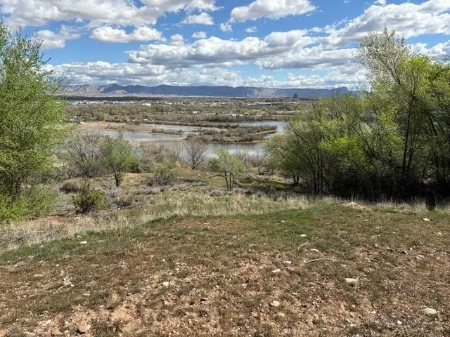 165 Wyndham Way, Grand Junction, CO 81507 - #2