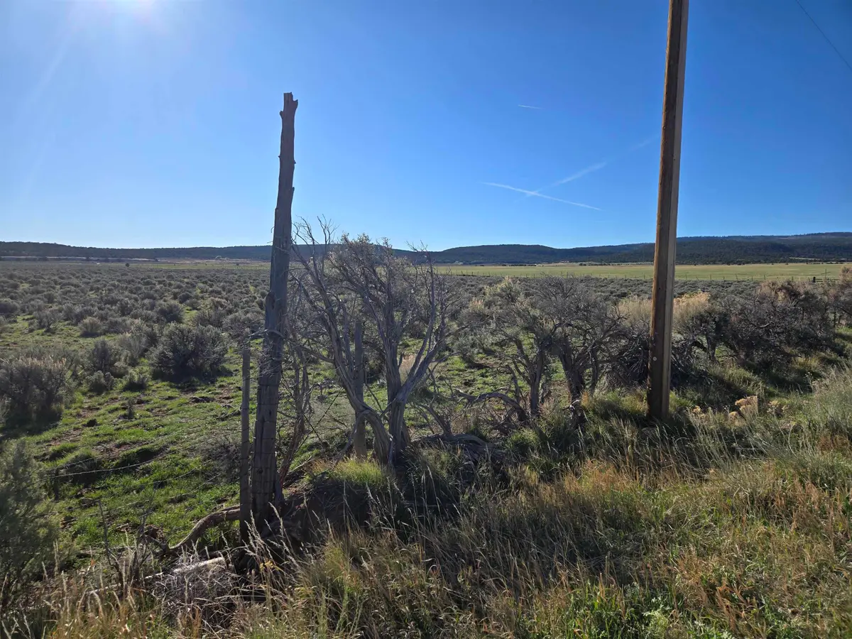 TBD Tbd, Glade Park, CO 81523 - #1