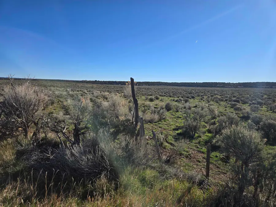 TBD Tbd, Glade Park, CO 81523 - #2