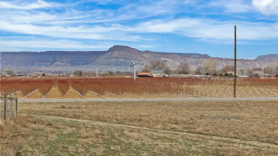 3365 C Road, Palisade, CO 81526 - #2