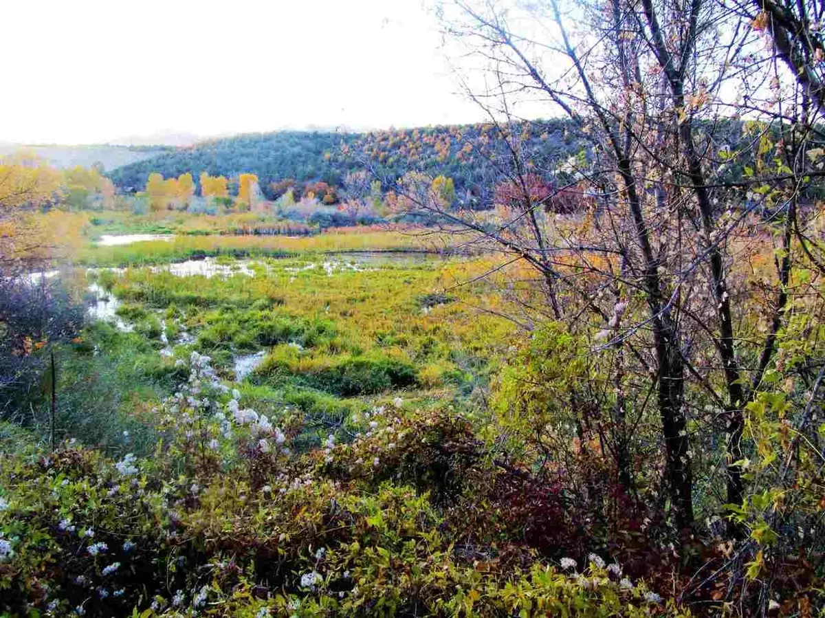 TBD Highway 330, Collbran, CO 81624 - #1