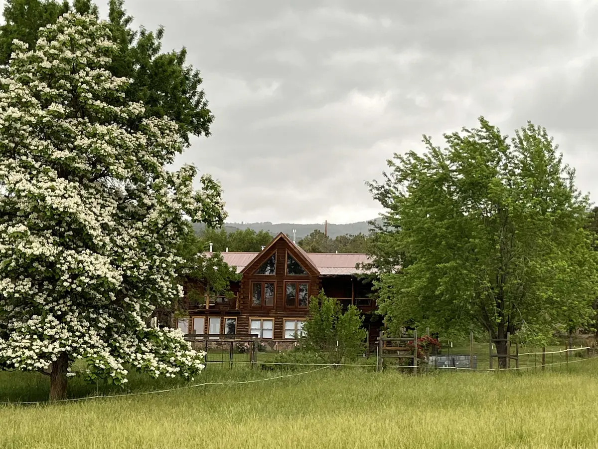 19795 High Park Road, Cedaredge, CO 81413 - #1