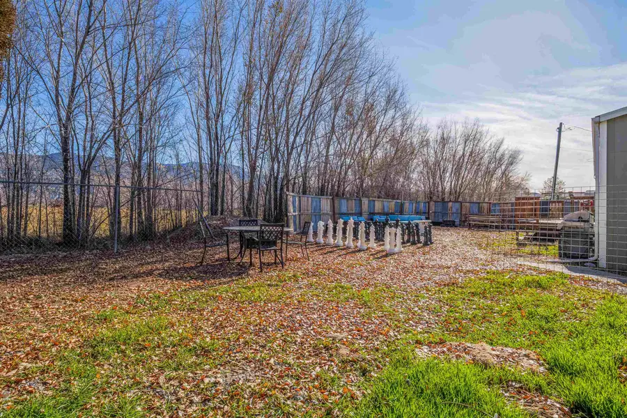 702 37 1/10 Road, Palisade, CO 81526 - #3