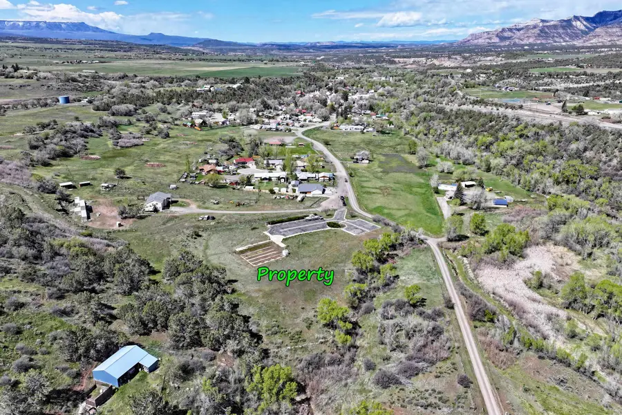 1006 Spring Street, Collbran, CO 81624 - #3