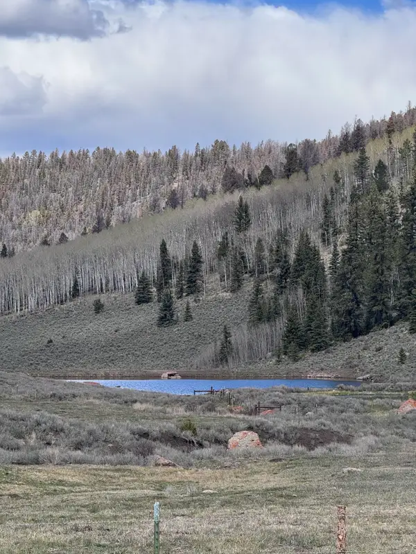 TBD Cardwell Draw Road, Powderhorn, CO 81243