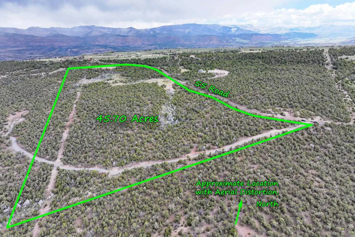 12705 55 Road, Collbran, CO 81624 - #1