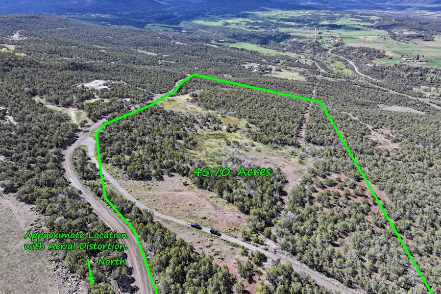 12705 55 Road, Collbran, CO 81624 - #2