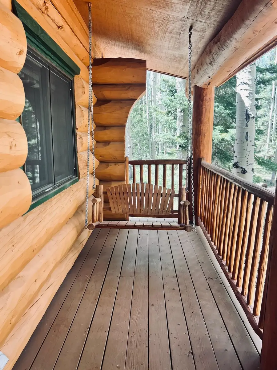 301 Crest Drive, Cimarron, CO 81220 - #2