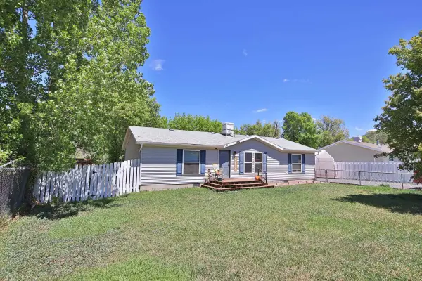 4055 Pinion Street, Collbran, CO 81624