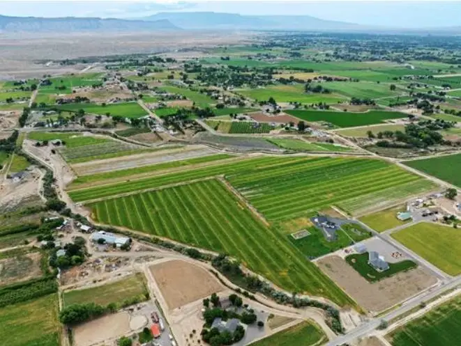 1134 22 1/2 Road, Grand Junction, CO 81505 - #1