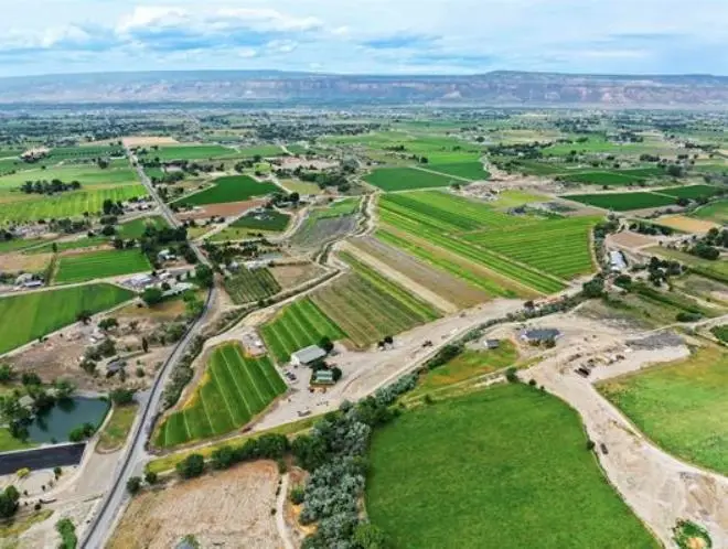 1134 22 1/2 Road, Grand Junction, CO 81505 - #2