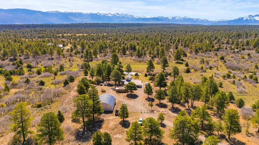 3460 Mariposa Drive, Montrose, CO 81403 - #2