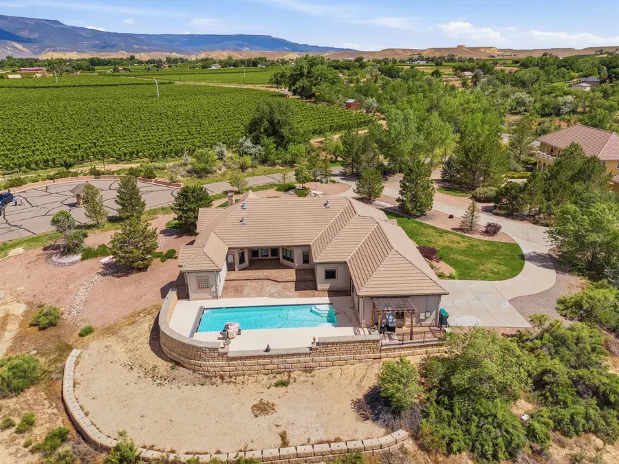 353 Vino Tinto Lane, Palisade, CO 81526 - #3