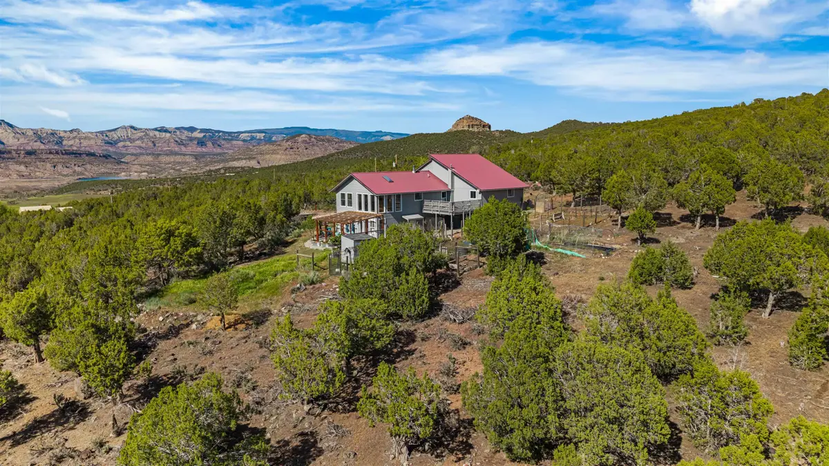 49991 Eagles Way, Mesa, CO 81643 - #1