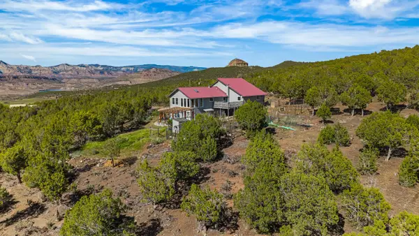 49991 Eagles Way, Mesa, CO 81643