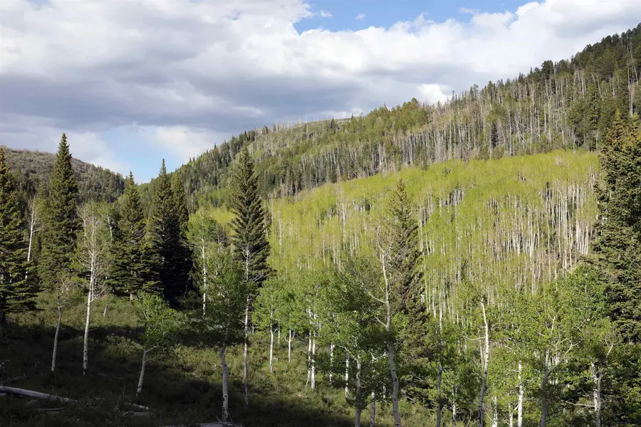 TBD Ms Road, Glade Park Gateway, CO 81522 - #2
