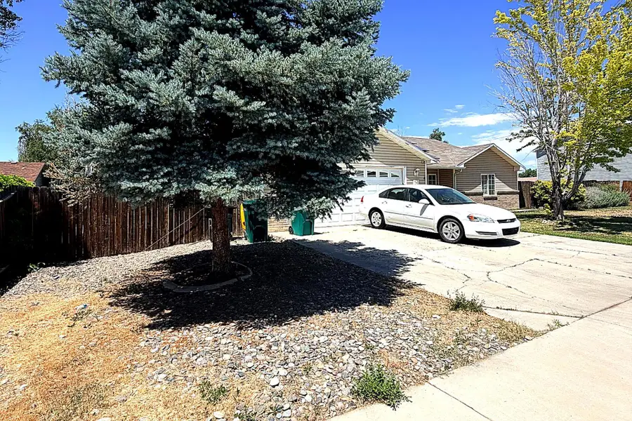 741 Stone Mountain Drive, Fruita, CO 81521 - #3