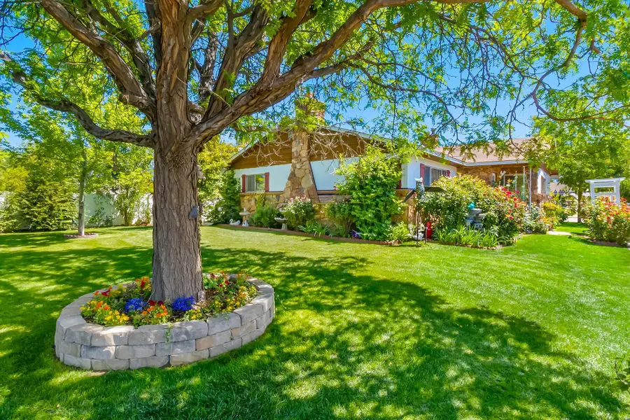 234 28 1/2 Road, Grand Junction, CO 81503 - #2