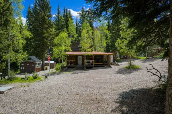 12123 County Road 313, New Castle, CO 81647