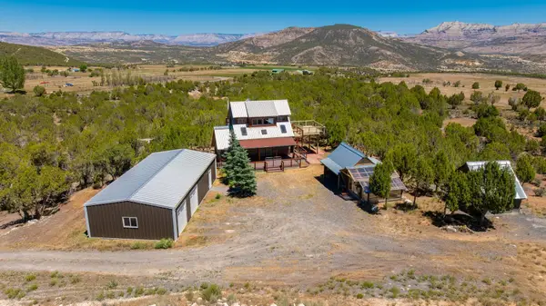 11778 46 6/10 Road, Mesa, CO 81643