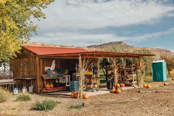 3526 Front Street, Palisade, CO 81526