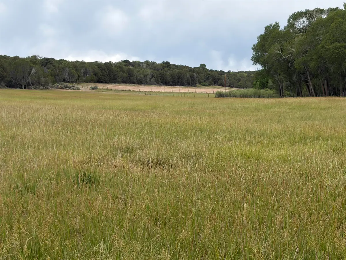 TBD Cactus Park Road, Cedaredge, CO 81413 - #1