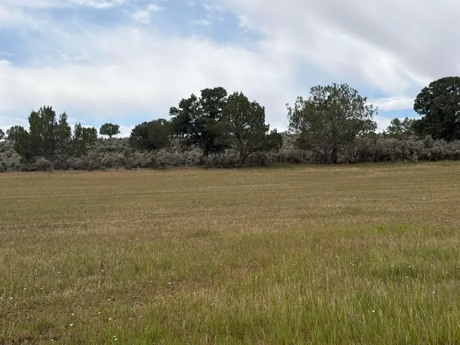 TBD Cactus Park Road, Cedaredge, CO 81413 - #2