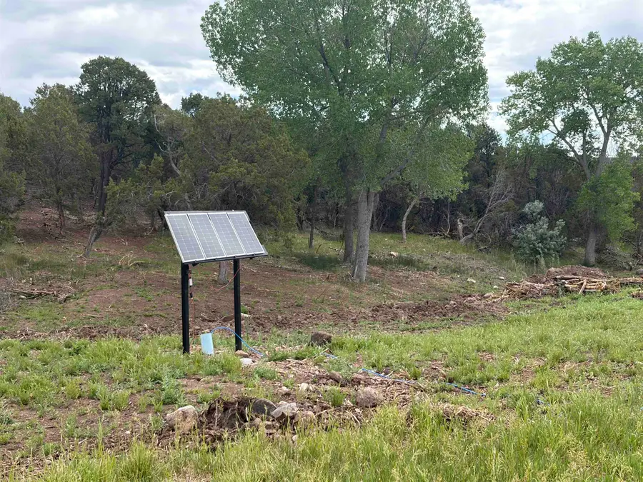 TBD Cactus Park Road, Cedaredge, CO 81413 - #3