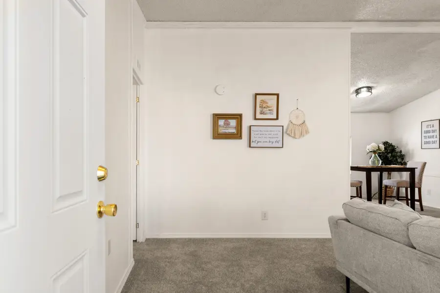258 Red Cliffs Drive, Fruita, CO 81521 - #3