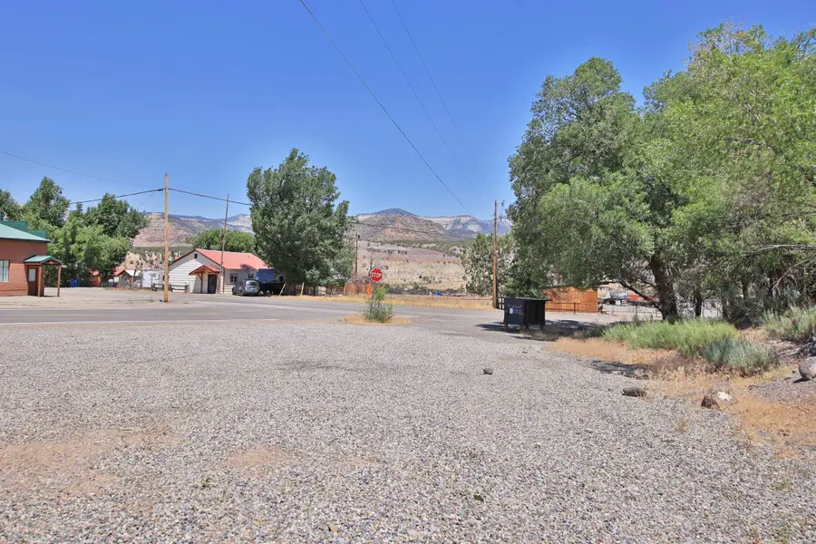 TBD 57 1/2 Road, Collbran, CO 81624 - #3