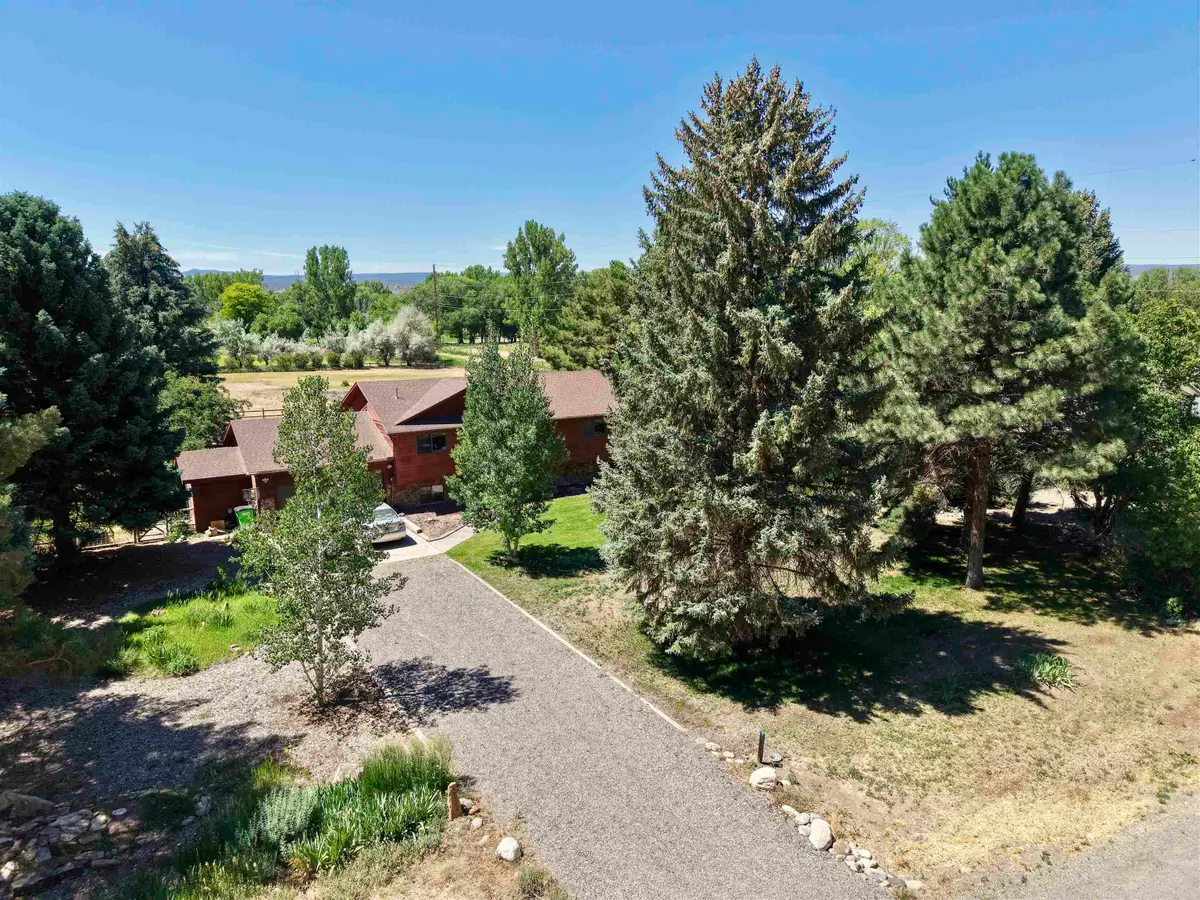 62224 Chu Chu Lane, Montrose, CO 81403 - #1