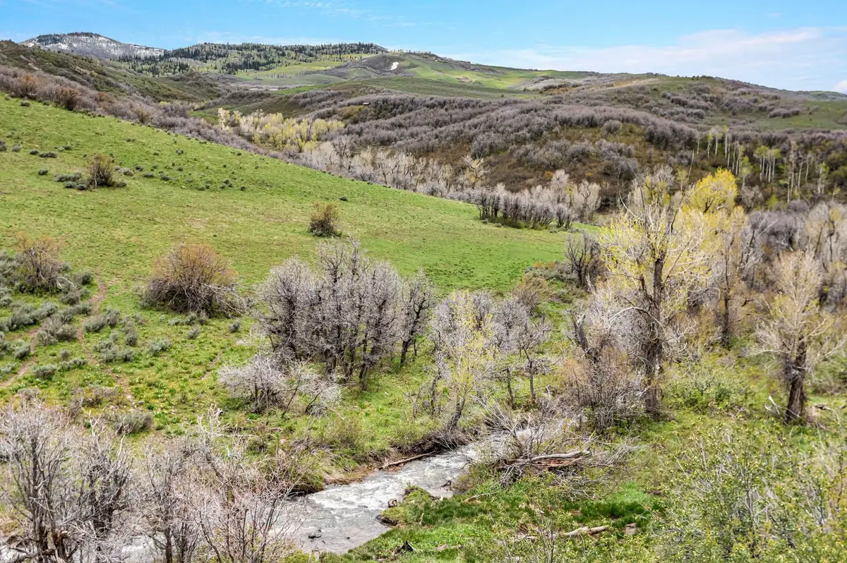 TBD County Road 80, Hayden, CO 81639 - #1