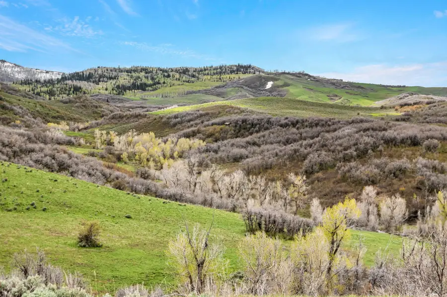 TBD County Road 80, Hayden, CO 81639 - #3