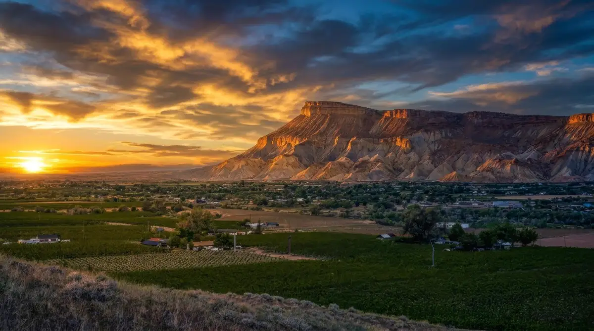 3770 Horse Mountain Road, Palisade, CO 81526 - #1